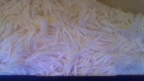 Snapshot of luckmoneylove1012 chatting on 09.20.25 prettybaby1012 online show from 09.20.25