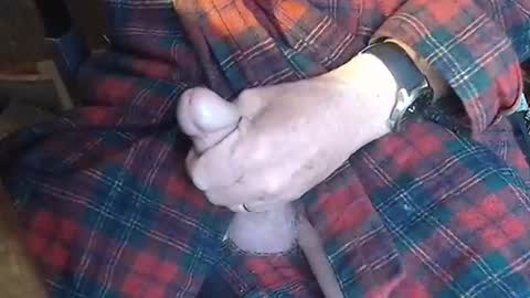 BIG Daddy cock. Tips make it harder  online show from 05.23.26