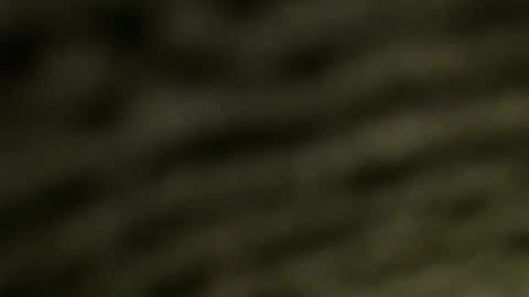 lucretiasissygothic online show from 11.25.25