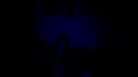 luffray online show from 02.09.26