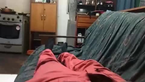 luis20111985 online show from 02.03.25