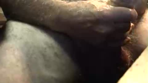 lukestarfckr online show from 10.05.25