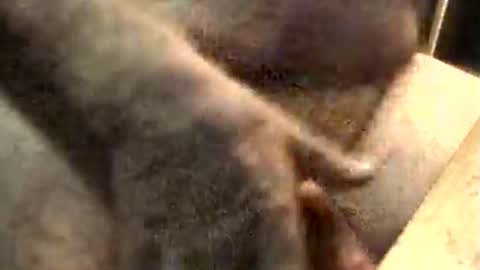 lukestarfckr online show from 11.10.25