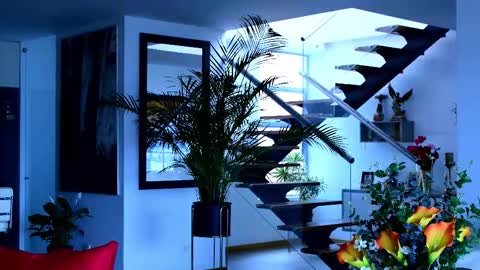 Lukhas f4f online show from 02.08.26