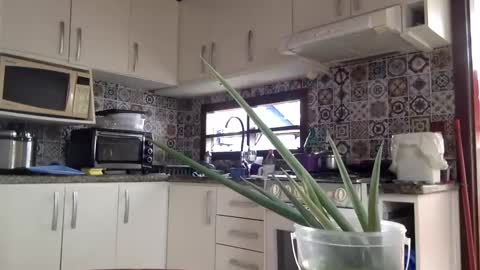 Snapshot of luksmen1 chatting on 02.18.25 lucifer online show from 02.18.25