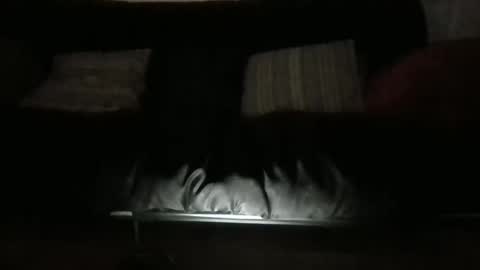 lukusdukus online show from 10.11.25