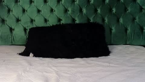 Lumars online show from 01.29.25