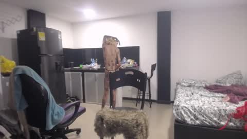 Luna online show from 03.07.25