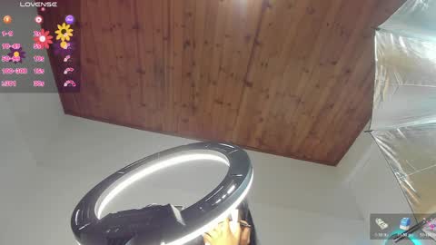 luna_velveth1 online show from 04.11.26