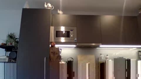 Snapshot of lupine_666 chatting on 12.12.24 Lupine online show from 12.12.24