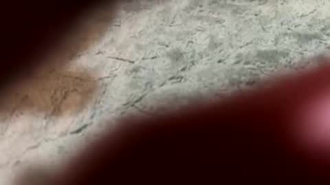 lust_4_daze online show from 02.13.26