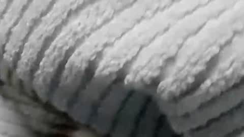 lustgardener67 online show from 01.19.25