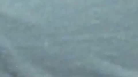 lustgardener67 online show from 01.27.25