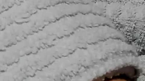 lustgardener67 online show from 02.03.25