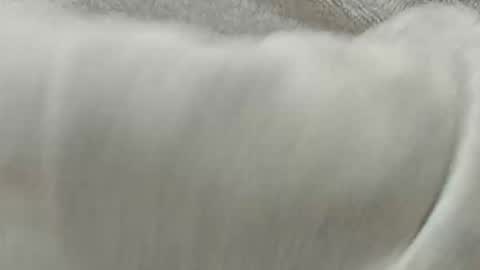 lustgardener67 online show from 11.08.25