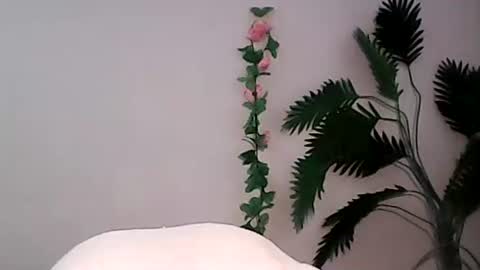 Bee Bee online show from 09.09.25