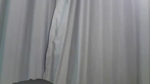 Bee Bee online show from 01.13.26