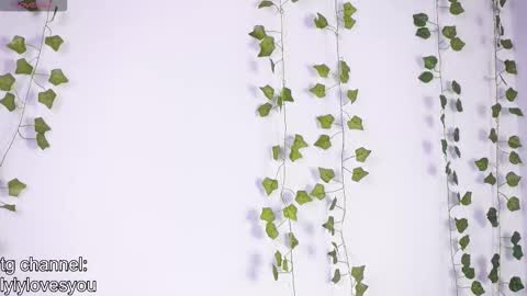 Lyly   online show from 01.17.26