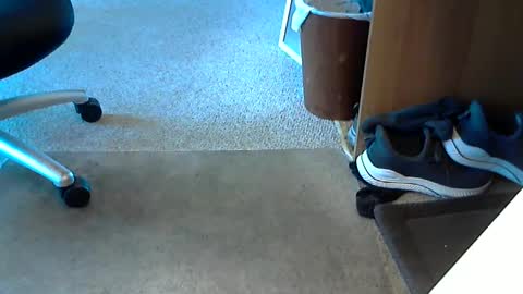 lynne_cd_nj online show from 10.01.25