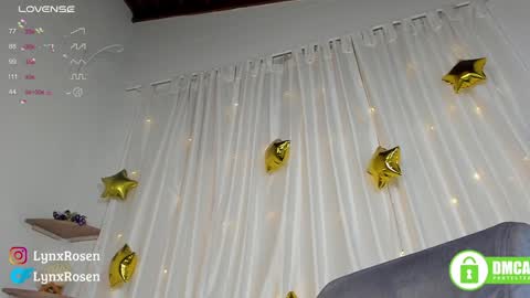 Snapshot of lynxrosen chatting on 01.11.25 Lynx Rosen online show from 01.11.25