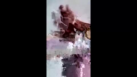 Snapshot of maciasbraulio846 chatting on 02.07.26 maciasbraulio846 online show from 02.07.26