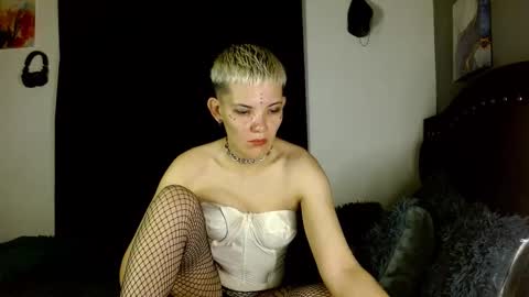 Noah Askew online show from 01.15.26