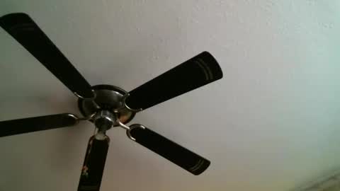 Manuel online show from 01.05.25