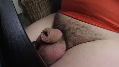 Snapshot of madwolf003 chatting on 01.21.25 HOTnHORNY online show from 01.21.25