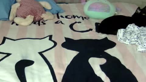 Snapshot of maferchavez88 chatting on 01.17.26 maferchavez88 online show from 01.17.26