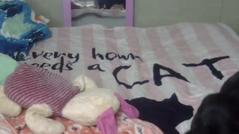 Snapshot of maferchavez88 chatting on 02.09.26 maferchavez88 online show from 02.09.26