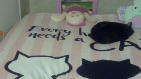 Snapshot of maferchavez88 chatting on 02.22.26 maferchavez88 online show from 02.22.26