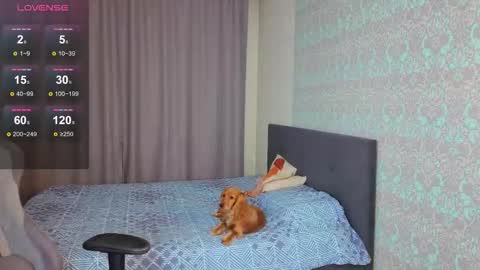 Merry online show from 11.09.25