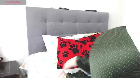 magic_stephany__ online show from 02.04.26