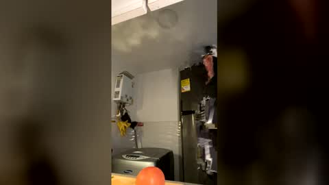 Snapshot of magic_tony chatting on 12.18.25 Tony Hoffa online show from 12.18.25