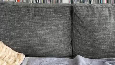 Snapshot of majortazer chatting on 12.03.24 majortazer online show from 12.03.24