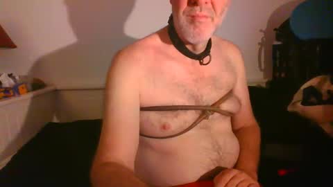 CommandbondageNipples bondage kink submissive lovense slave wgear. modequiethvyBondage If Password goldfish online show from 02.16.25