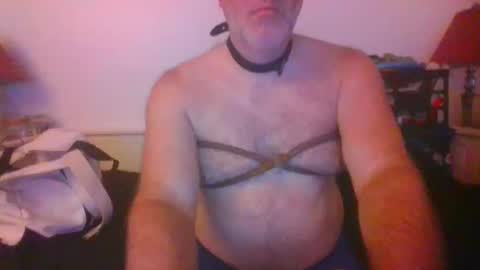 CommandbondageNipples bondage kink submissive lovense slave wgear. modequiethvyBondage If Password goldfish online show from 10.14.25