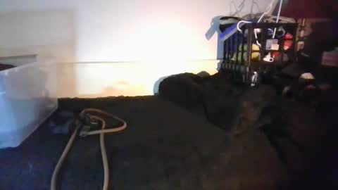 CommandbondageNipples bondage kink submissive lovense slave wgear. modequiethvyBondage If Password goldfish online show from 01.18.26