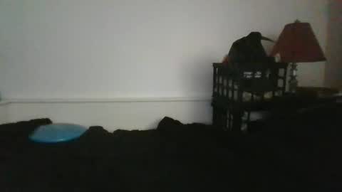 CommandbondageNipples bondage kink submissive lovense slave wgear. modequiethvyBondage If Password goldfish online show from 05.31.26