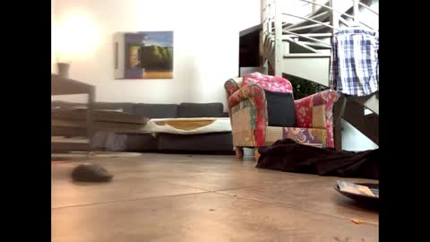 Snapshot of man38110 chatting on 02.14.25 man38110 online show from 02.14.25