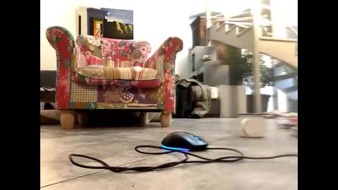 Snapshot of man38110 chatting on 03.09.25 man38110 online show from 03.09.25