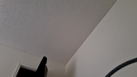 Jan and Man online show from 03.31.26