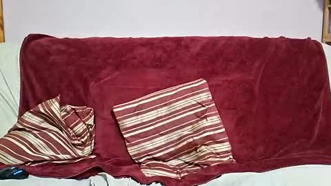 Snapshot of manlymanson chatting on 02.04.26 Dickinabox online show from 02.04.26