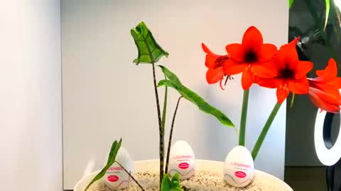 Snapshot of manup1977 chatting on 12.16.25 manup1977 online show from 12.16.25