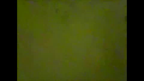 Snapshot of marcekir chatting on 12.28.24 marcekir online show from 12.28.24