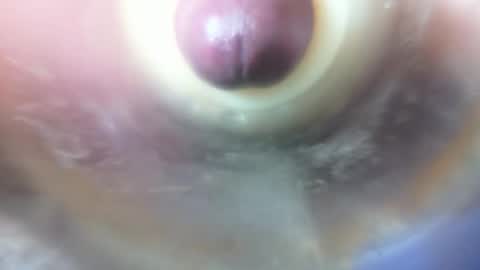 Marc online show from 02.06.26