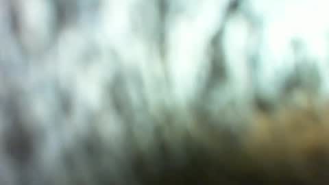 Marc online show from 03.26.26