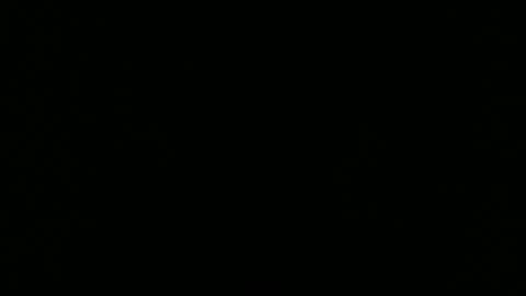 Elle online show from 02.25.26