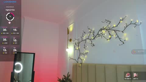 Snapshot of mari_nett chatting on 12.27.24 mari_nett online show from 12.27.24