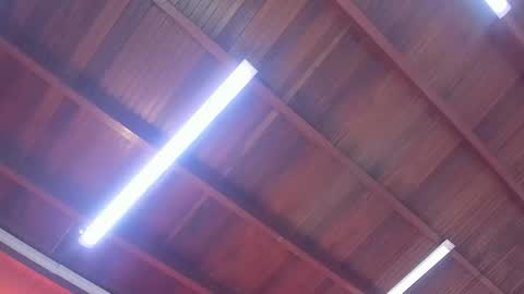 maria_turner1 online show from 02.09.26